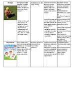Конспект 'Integrētās rotaļnodarbības plāns, apraksts - sociālā un pilsoniskā mācību joma', 3.