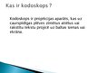 Презентация 'Kodoskopi', 2.