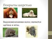 Презентация 'Общая характеристика млекопитающих', 6.