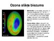 Презентация 'Ozona slānis', 5.