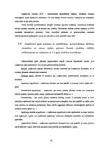 Отчёт по практике 'Prakses atskaite SIA "Baltic Consalting Company"', 29.