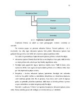 Отчёт по практике 'Uzņēmuma darbības raksturojums. Prakses atskaite uzņēmējdarbības vadībā', 10.