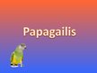 Презентация 'Papagaiļi', 1.