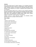 Бизнес план 'Īstermiņa īres dzīvokļu uzkopšanas un viesu apkalpošanas pakalpojuma biznesa plā', 2.
