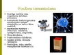 Презентация 'Fosfors, tā fizikālās īpašības un izmantošana', 8.