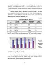 Дипломная 'Valsts akciju sabiedrības "Latvijas dzelzceļš" darbības analīze 2003.–2007.gadā', 13.