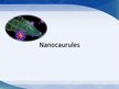 Презентация 'Nanocaurules', 1.