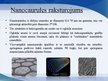 Презентация 'Nanocaurules', 3.