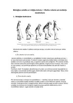 Конспект 'Bioloģijas saistība ar reliģiju temata "Cilvēka rašanās un evolūcija" skaidrošan', 1.