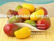 Презентация 'Mango augļu tirgus', 1.
