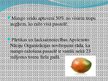 Презентация 'Mango augļu tirgus', 9.