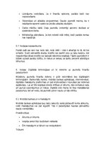 Реферат 'Finanšu pratība jauniešiem: mīti un realitāte', 13.