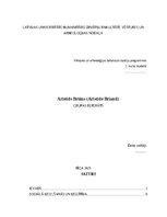 Реферат 'Aristids Briāns
GRUPAS REFERĀTS', 1.