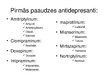Презентация 'Antidepresanti', 18.