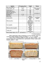 Дипломная 'Bezglutēna maizes ceptuves "Latgolys maiznīks" projekts', 65.