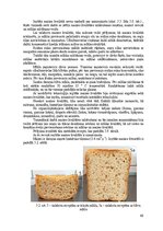 Дипломная 'Bezglutēna maizes ceptuves "Latgolys maiznīks" projekts', 66.