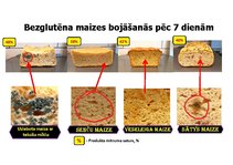 Дипломная 'Bezglutēna maizes ceptuves "Latgolys maiznīks" projekts', 91.
