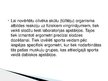Презентация 'Sporta medicīna', 12.