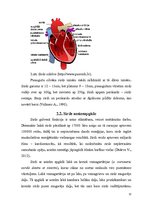 Реферат 'Sirds un asinsrites orgānu sistēma', 12.