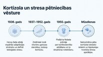 Презентация 'Kortizola loma organismā un stresa reakcijā', 3.