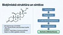 Презентация 'Kortizola loma organismā un stresa reakcijā', 4.