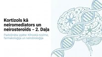 Презентация 'Kortizola loma organismā un stresa reakcijā', 13.