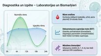 Презентация 'Kortizola loma organismā un stresa reakcijā', 21.