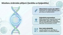Презентация 'Kortizola loma organismā un stresa reakcijā', 23.