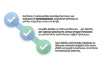 Презентация 'Kortizola loma organismā un stresa reakcijā', 26.