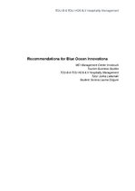Эссе 'Recommendations for Blue Ocean Innovations', 1.