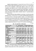 Дипломная 'SIA "X" saimnieciskās darbības analīze un tās pilnveidošana', 54.