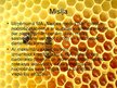 Бизнес план 'Uzņēmums SIA "Stelpes medus bite"', 23.