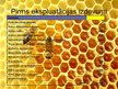 Бизнес план 'Uzņēmums SIA "Stelpes medus bite"', 27.