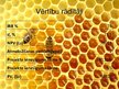 Бизнес план 'Uzņēmums SIA "Stelpes medus bite"', 31.