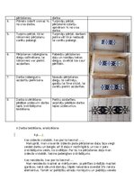 Образец документа 'Etnogrāfija darba lapa', 4.