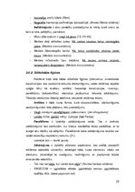 Дипломная 'Reklāmas teksts un ekstralingvistiskie faktori', 26.
