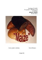Реферат 'Maize', 1.