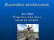 Презентация 'Ekstrēmais sporta veids - skeitbords', 4.