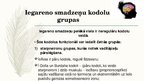 Презентация 'Galvas smadzeņu daļas un iegarenās smadzenes', 10.