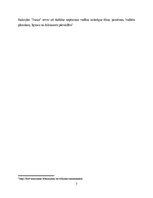 Отчёт по практике 'Prakse finanšu grāmatvedībā', 7.