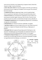 Конспект 'Modelle des Deutsch als Fremdsprachenunterricht', 11.