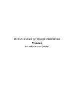 Конспект 'The Socio-Cultural Environment of International Marketing', 1.