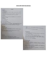 Конспект 'Life hack LATVIEŠU VALODAS eksāmenam', 6.