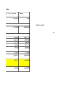 Конспект 'Grāmatvedība un finanses - dažādi uzdevumi (SIA "Ledene")', 24.