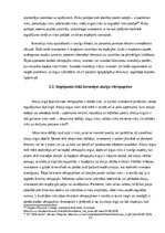 Реферат 'Investīcijas akciju vērtspapīros, to riski un ienesīgums', 15.