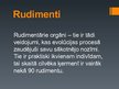 Презентация 'Rudimenti un atavismi', 2.