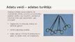 Презентация 'Adatu un diegu veidi', 10.