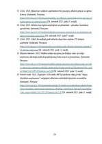 Реферат 'Mazo un vidējo uzņēmumu atbalsta politika Latvijā', 29.