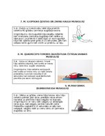 Конспект 'Postizometriskās relaksācijas metode', 4.