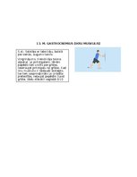 Конспект 'Postizometriskās relaksācijas metode', 7.